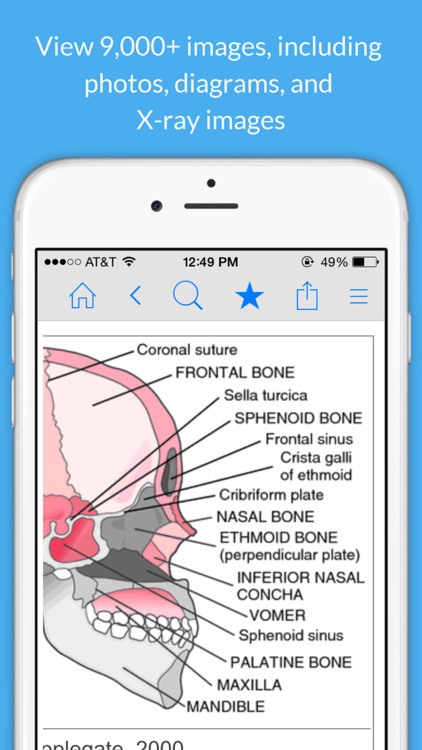 free medical dictionary app