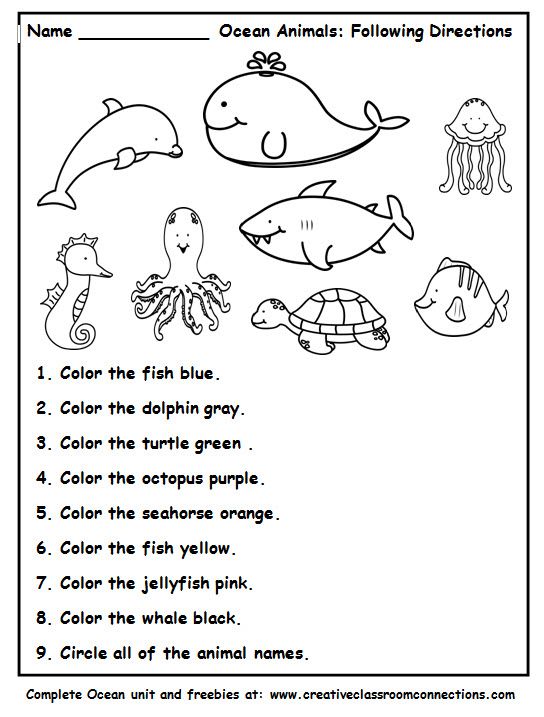 little live pets clever keet instructions pdf