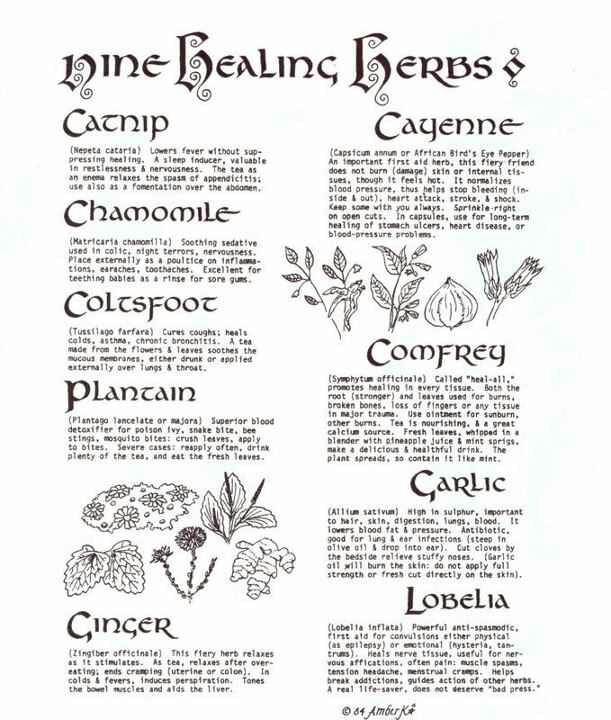 healing herbs and spices pdf
