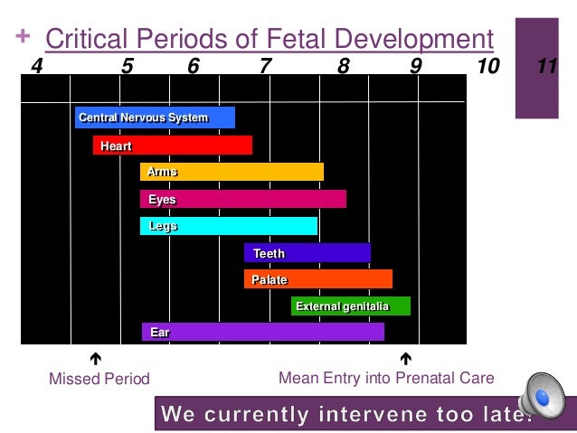 importance of prenatal care pdf