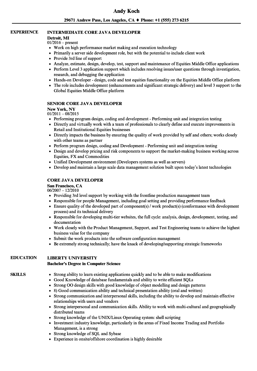 Java Developer Resume Sample