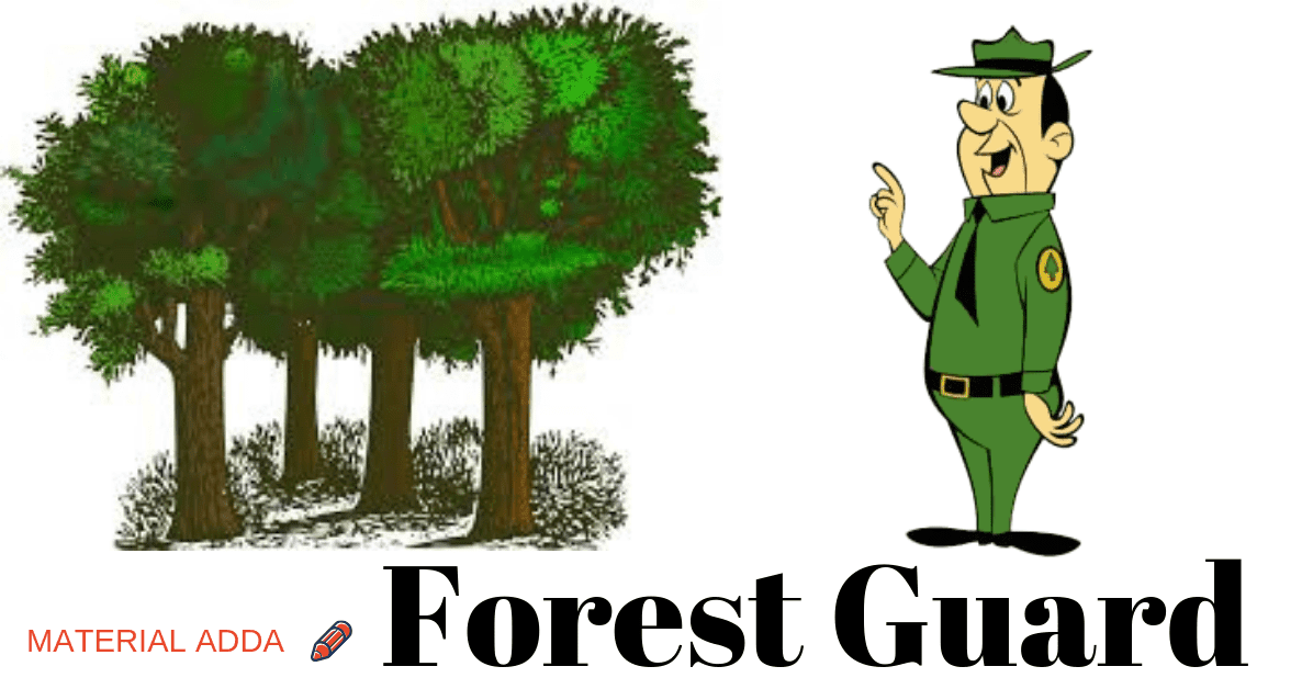 forest book pdf