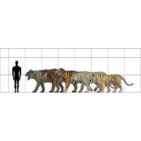 leo malley size guide