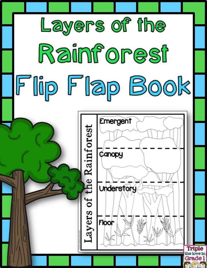 forest book pdf