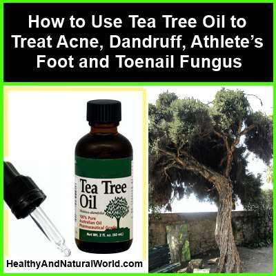instructions for tree oil