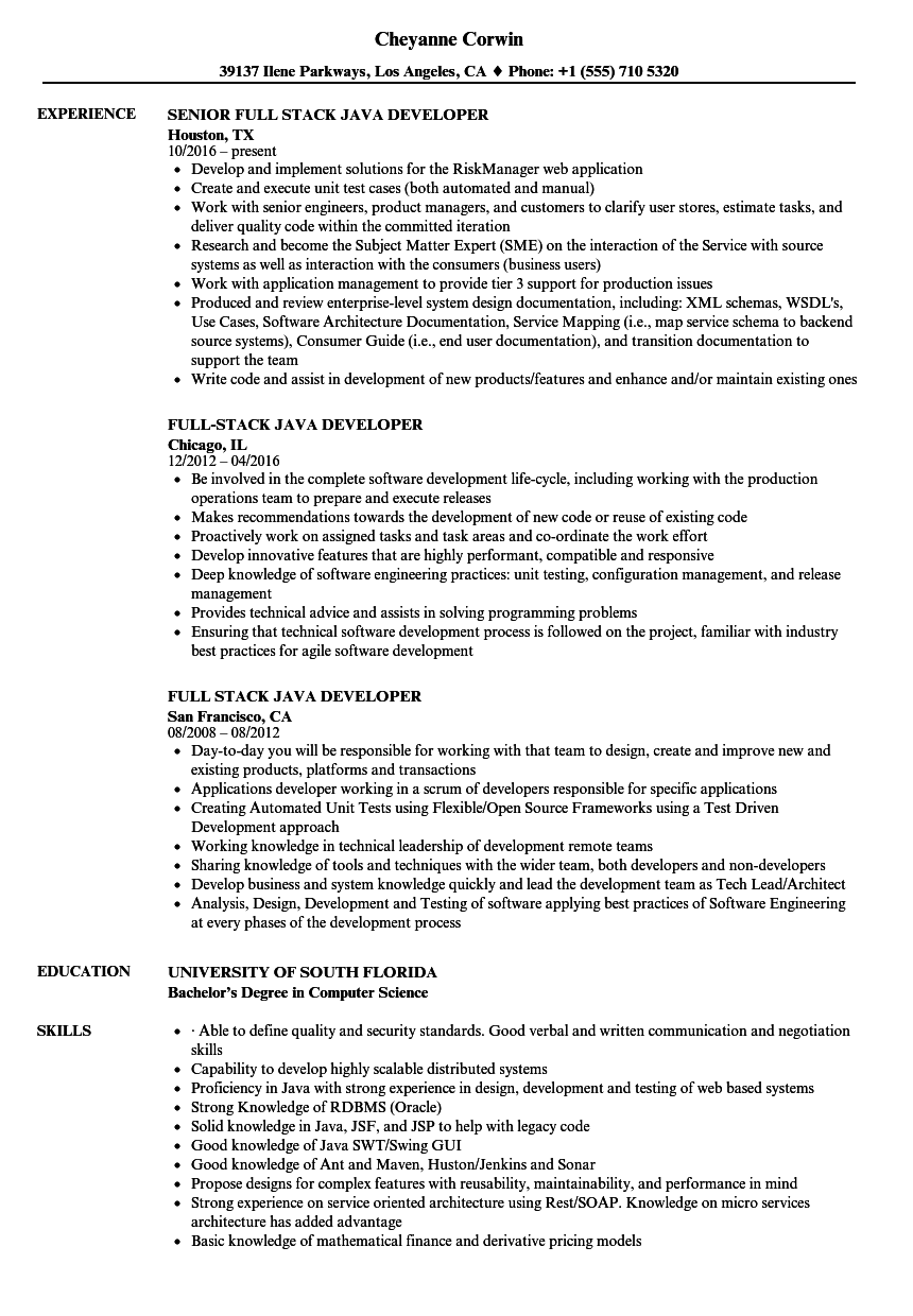 Sample Resume For Experienced Java Software Engineer