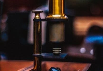 ap physics 1 study guide pdf
